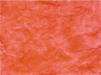 Red Mulberry