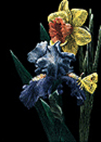 Creating with Claybord - Iris