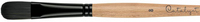 Catalyst Filbert Brushes