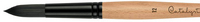 Catalyst Round Brushes